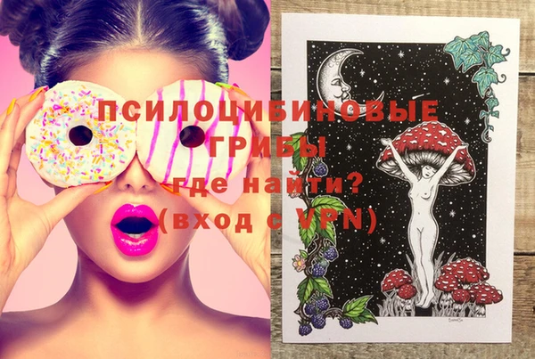 дживик Абинск