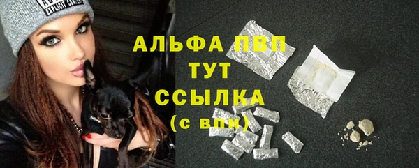 прущие грибы Вязьма